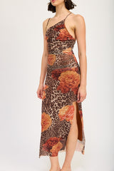 Mesh Printed One Shoulder Maxi Dress